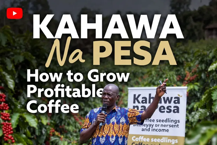 Coffee Seedling Production: Nursery Management, Root Care, and Planting Secrets