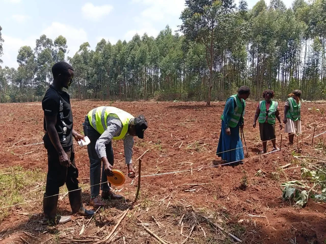 Field Measuring for Coffee Planting Layout