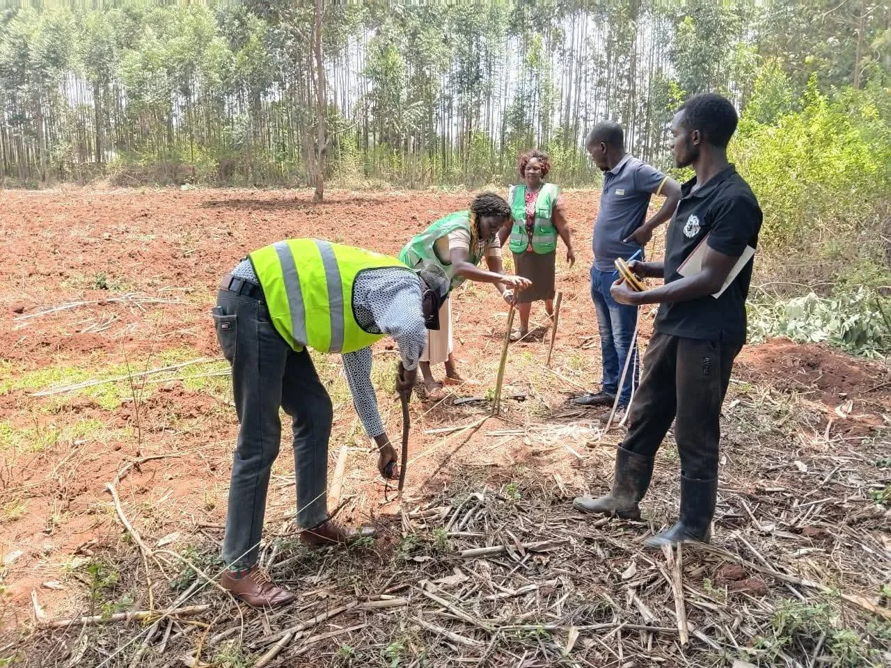 Planting Hole Digging Demonstration