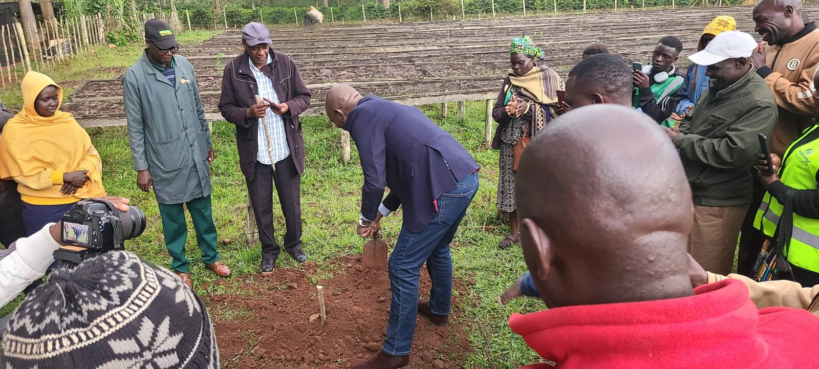 Coffee Tree Planting Demonstration