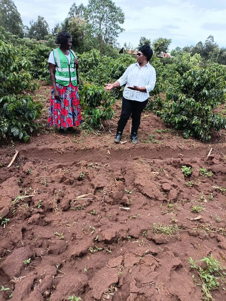 Coordinator and Farmer at Planting Site