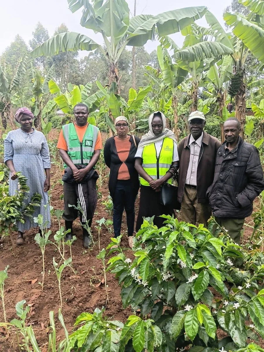 On-Farm Support Visit with Intercropped Coffee
